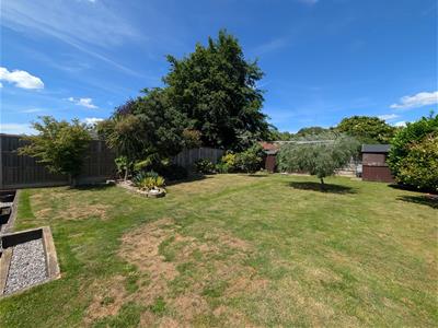Picture 15